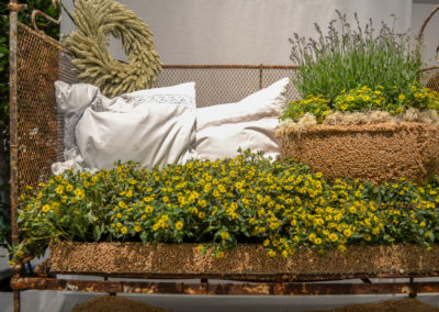 Blumenschau 'Ab nach draußen' Schwäbisch Gmünd - Remstalgartenschau 2019 45 Blumenschau 'Ab nach draußen' Remstalgartenschau 2019 Schwäb.Gmünd