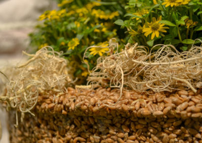 Blumenschau 'Ab nach draußen' Schwäbisch Gmünd - Remstalgartenschau 2019 46 Blumenschau 'Ab nach draußen' Remstalgartenschau 2019 Schwäb.Gmünd