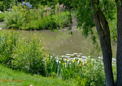 Kommt mit in die Daimlerstadt Schorndorf 89 Schorndorf Remstalgartenschau 2019 Stadtpark