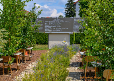 Mögglingen Remstalgartenschau Baumschule