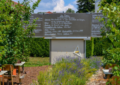 Mögglingen Remstalgartenschau Baumschule