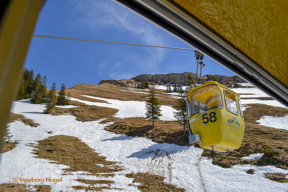 Auf dem Hochgrat 1 DSC 0573 1
