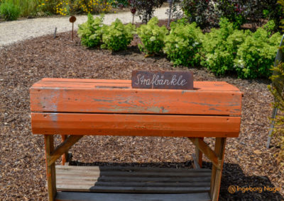 Mögglingen Remstalgartenschau Baumschule