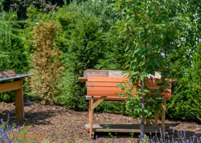 Mögglingen Remstalgartenschau Baumschule