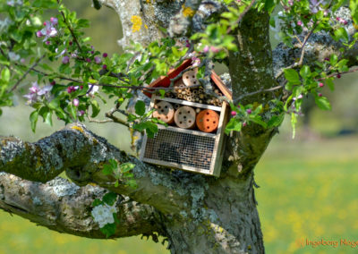 Mein Heimatort Waldstetten 10 Waldstetten Ostalbkreis