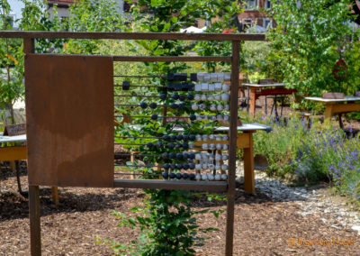 Mögglingen Remstalgartenschau Baumschule