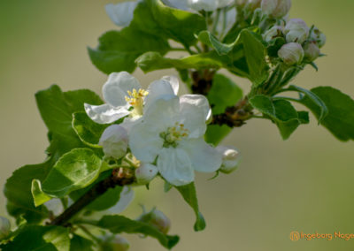 Mein Heimatort Waldstetten 11 Waldstetten Ostalbkreis