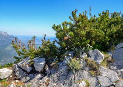 Kehlsteinhaus 32 Kehlsteinhaus