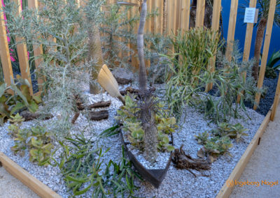Kakteengarten im Stadtgarten Schwäbisch Gmünd