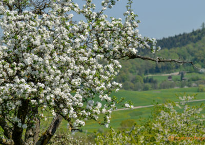 Mein Heimatort Waldstetten 4 Waldstetten Ostalbkreis