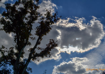Kakteengarten im Stadtgarten Schwäbisch Gmünd