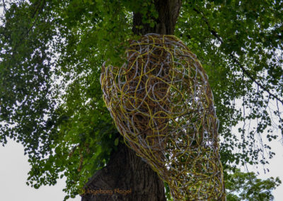Die Grabenallee in Schwäbisch Gmünd 14 Grabenallee Schwäbisch Gmünd