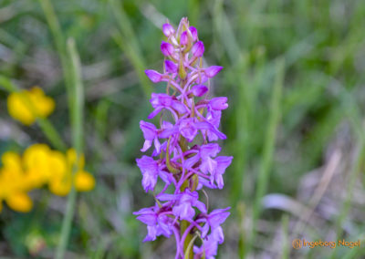 Kehlsteinhaus 34 Kehlsteinhaus