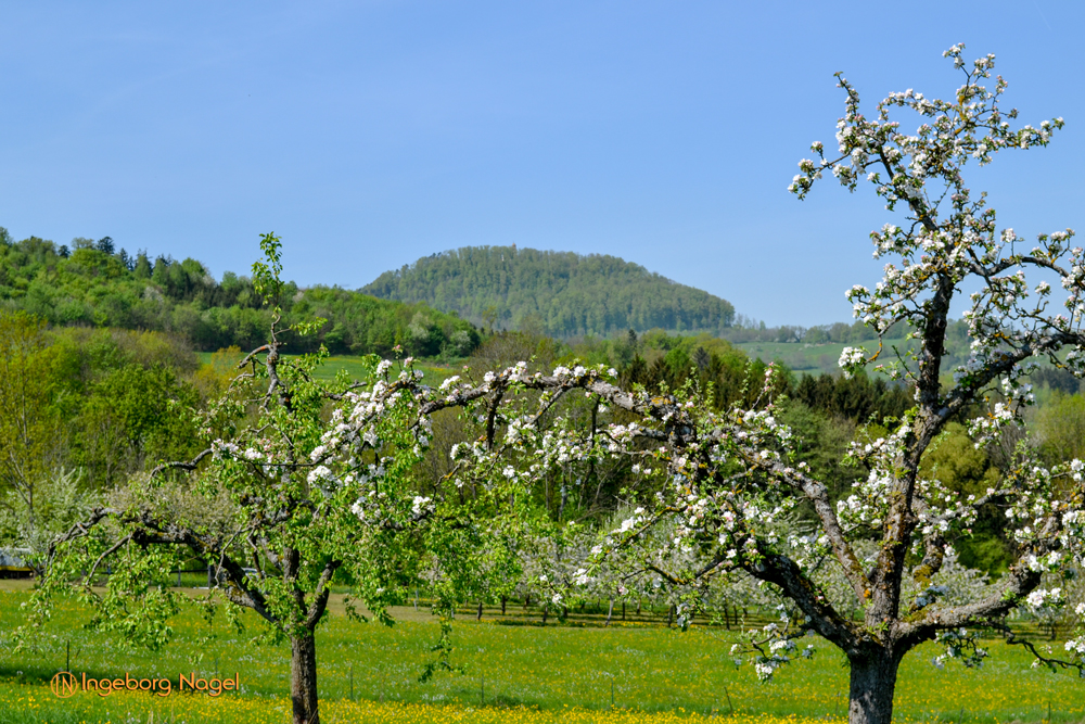 Mein Heimatort Waldstetten 13 Waldstetten Ostalbkreis