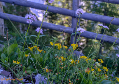 Kehlsteinhaus 35 Kehlsteinhaus