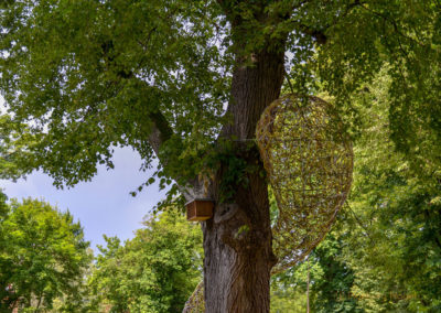 Die Grabenallee in Schwäbisch Gmünd 15 Grabenallee Schwäbisch Gmünd