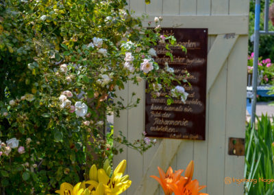 Mögglingen Remstalgartenschau Staudengarten