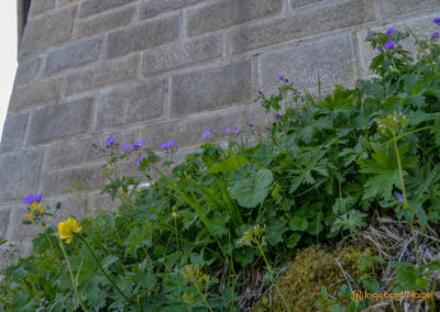 Kehlsteinhaus 39 Kehlsteinhaus