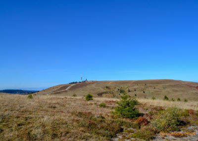 Feldberg im Schwarzwald