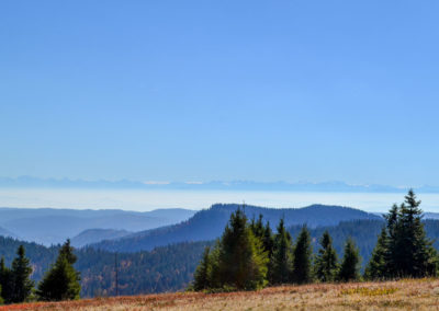 Feldberg im Schwarzwald