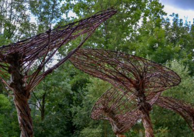 Die Grabenallee in Schwäbisch Gmünd 17 Grabenallee Schwäbisch Gmünd