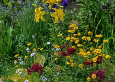 Mögglingen Remstalgartenschau Staudengarten