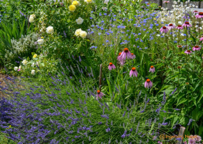 Mögglingen Remstalgartenschau Staudengarten