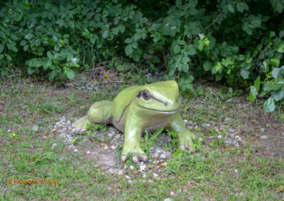 Mögglingen Remstalgartenschau Remsaue