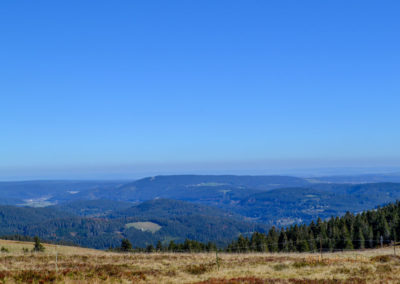 Feldberg im Schwarzwald