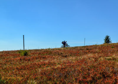 Feldberg im Schwarzwald