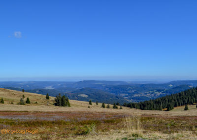 Feldberg im Schwarzwald