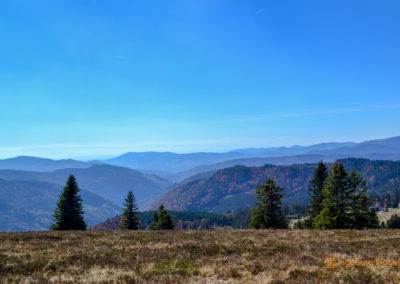 Feldberg im Schwarzwald