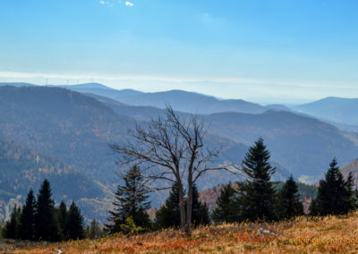 Feldberg im Schwarzwald