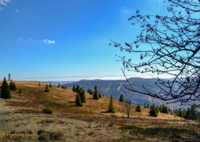 Feldberg im Schwarzwald