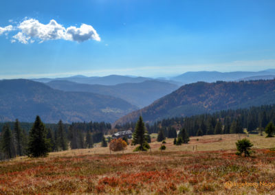 Feldberg im Schwarzwald