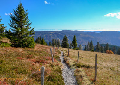 Feldberg im Schwarzwald