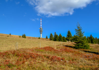 Feldberg im Schwarzwald