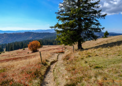 Feldberg im Schwarzwald