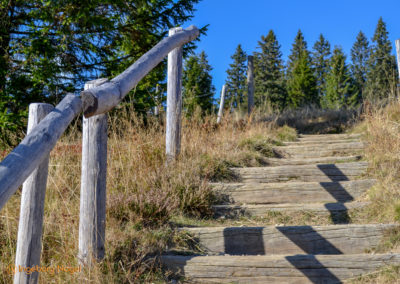 Feldberg im Schwarzwald
