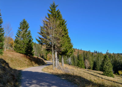 Feldberg im Schwarzwald