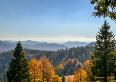 Feldberg im Schwarzwald