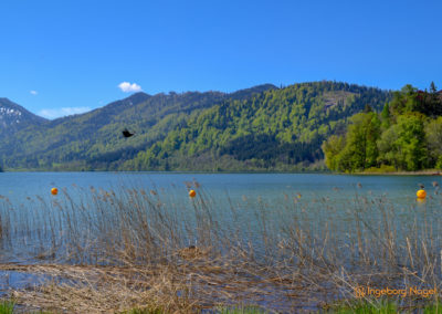 Schliersee