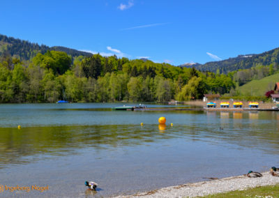 Schliersee