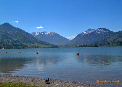 Schliersee