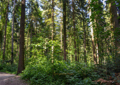 Himmelsleiter Schwäbisch Gmünd Taubental