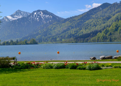 Schliersee