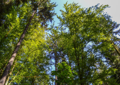 Himmelsleiter Schwäbisch Gmünd Taubental