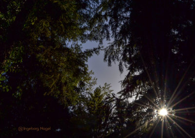 Himmelsleiter Schwäbisch Gmünd Taubental