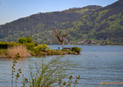 Tegernsee