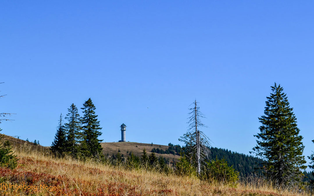 Feldberg im Schwarzwald